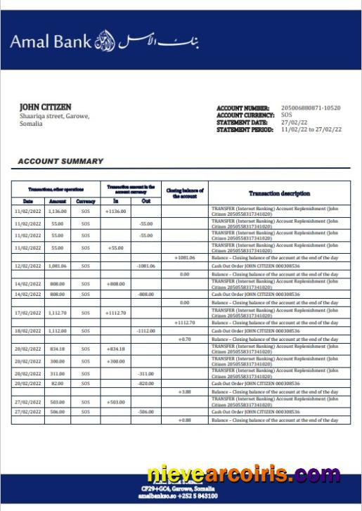 Somalia Amal bank statement in Word and PDF format